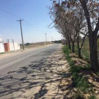 ۱۰۰۰ منر باغچه بر خیابان|فروش دفتر صنعتی، کشاورزی، تجاری|محمدشهر, محمدشهر|دیوار