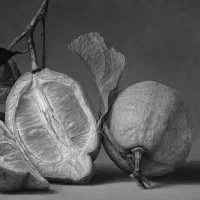 اموزش طراحی .نقاشی .هایپررئال|خدمات آموزشی|پردیس, فاز ۱|دیوار