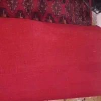 پشتی ترکمنی دستباف|پشتی|زاهدان, |دیوار