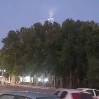 خرید انواع چوب