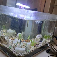 آکواریوم کامل