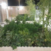 فروش خانه ویلایی ۳۲۳ متری ۲ خوابه در زیار|فروش خانه و ویلا|اصفهان, زیار|دیوار