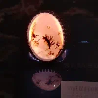 انگشتر شجر گرمی ۲۲۰دست ساز|جواهرات|لاهیجان, گلستان|دیوار