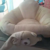 صندلی آموزشی