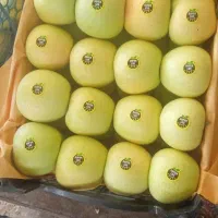 خریدار انواع سیب ( زرد و قرمز)|خدمات باغبانی و درختکاری|سی‌سخت, |دیوار