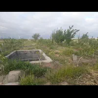 فروش زمین ۱۲۰۰ متری بانهال پسته در بینالود|فروش زمین و ملک کلنگی|مشهد, کوی پلیس|دیوار