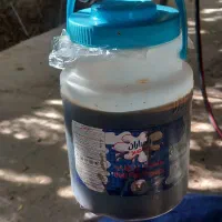 شیره انگور
