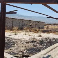 فروش یک واحد گاوداری به قیمت زمین کشاورزی|فروش دفتر صنعتی، کشاورزی، تجاری|نورآباد ممسنی, |دیوار