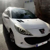 ۲۰۷ پانوراما رینگ‌دار 207