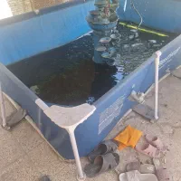 استراماده‌متحرک‌