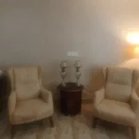 فروش تعداد 95 اردک مگ مگی بالغ سرحال
