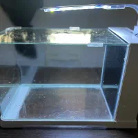 اکواریوم دلسا|ماهی|ساری, |دیوار