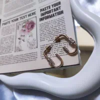 گوشواره مینمال|بدلیجات|پاکدشت, پاکدشت (مامازند)|دیوار