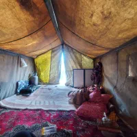 نگهبان زنبورستان توسکستان