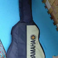 کیف گیتار