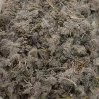 چای کوهی درجه یک