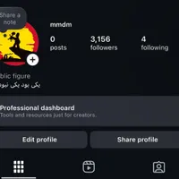 پیج فیک 3160k