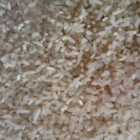 برنج فروشی استراباد