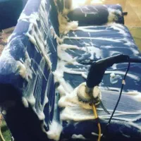 مبل شویی شهر،،شستشو با مواد نانو