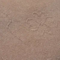 موکت در حد نو‌۴۲متر