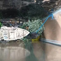 آکواریوم ۵۰۰لیتری با پایه