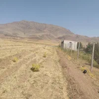 زمین  نزدیک روستاوبالای جاده اصلی تعویض باماشین
