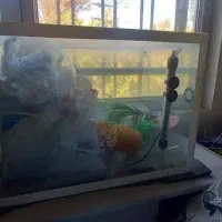 آکواریوم با کلیه تجهیزات