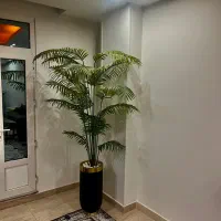 درخچه مصنوعی نخل شامادورا