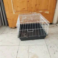 قفس خرگوش و اوردک
