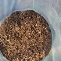 خاک گلدان کمپوست