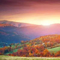 خریدار-ویلا-باغ-هستم