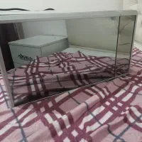 ماکروفر الجی