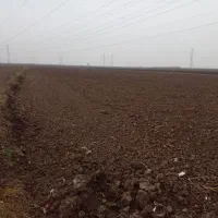 زمین زراعی.کشاورزی|فروش دفتر صنعتی، کشاورزی، تجاری|فاضل آباد, |دیوار