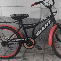 دوچرخه 20