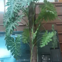 درخت چه مصنوعی