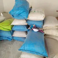 بذر یونجه|خدمات باغبانی و درختکاری|محمدبار, |دیوار