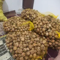 گردو درجه یک