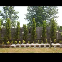 243/33متر زمین داخل بافت هادی کاربری مسکونی شهرکی|فروش زمین و ملک کلنگی|عباسآباد, |دیوار