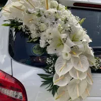 دکور یلدایی،ماشین عروس...|خدمات پذیرایی، مراسم|اراک, |دیوار