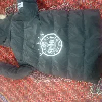 کاپشن پسرانه در حد نو|کفش و لباس بچه|اردبیل, |دیوار