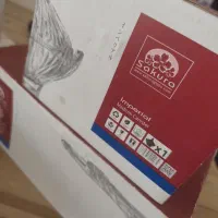 ظروف شامپاینی