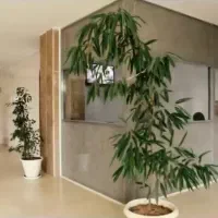 آپارتمان کهندژ،معاوضه با ملک،خودرو وارداتی صفر|فروش آپارتمان|اصفهان, زاجان|دیوار