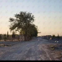 فروش زمین کشاورزی|فروش زمین و ملک کلنگی|کرج, باغستان|دیوار