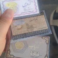 طلا پارسیان