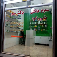سمپاشی ساس ریشه کنی صددرصد بدون خطا|خدمات نظافت|قم, وادی السلام|دیوار