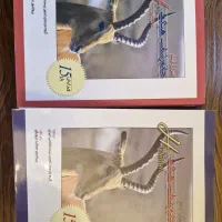 کتاب جانورشناسی هیکمن