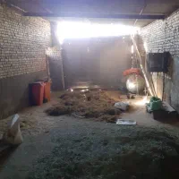 فروش گاوداری ...باغ|فروش دفتر صنعتی، کشاورزی، تجاری|ملایر, |دیوار
