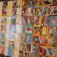 مجله دانشمند دهه 40و50|مجلات|کرج, باغستان|دیوار