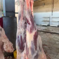 خوش عطر ترین گوشت حلال گوسفندی|خدمات پذیرایی، مراسم|ری, شهرری|دیوار