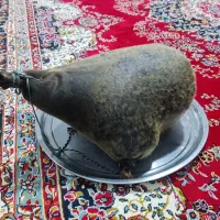 هیز بزرگ درجه یک به فروش می رسد فقط تماس